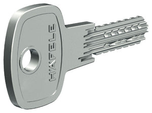 Single cylinder, standard profile, Econo, Startec, keyed different Reversible key