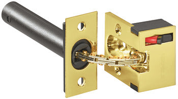 Security door guard-brass coloured PVD coated